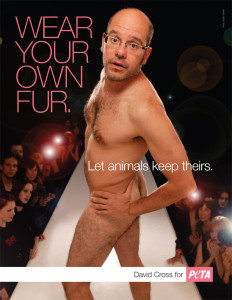 David Cross - Wear your own fur